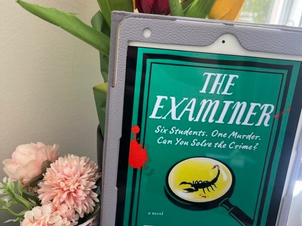 Book Review: The Examiner by Janice&nbsp;Hallett
